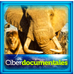Ciber Documentales